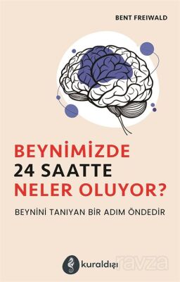 Beynimizde 24 Saatte Neler Oluyor ? - Kuraldışı Yayınları