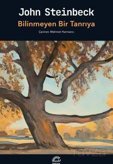 Bilinmeyen Bir Tanrıya - 1