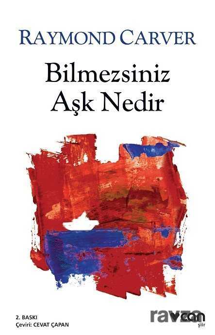 Bilmezsiniz Aşk Nedir - Can Yayınları