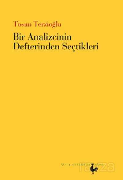 Bir Analizcinin Defterinden Seçtikleri - Nesin Yayınevi