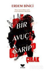 Bir Avuç Garip Çırak - Efsus Yayınları