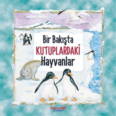 Bir Bakışta Kutuplardaki Hayvanlar - 1