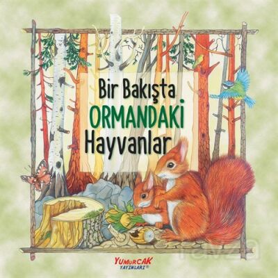 Bir Bakışta Ormandaki Hayvanlar - 1