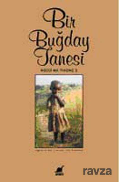 Bir Buğday Tanesi - Ayrıntı Yayınları