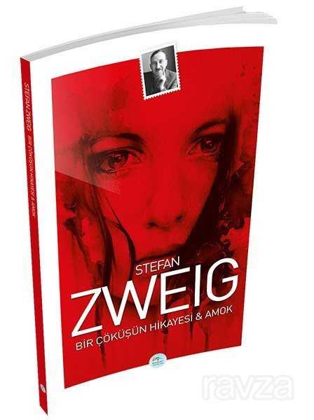 Bir Çöküşün Hikayesi - Amok - Maviçatı Yayınları