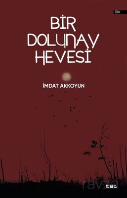 Bir Dolunay Hevesi - 1