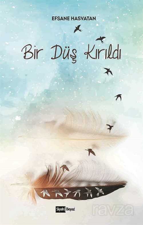 Bir Düş Kırıldı - 1