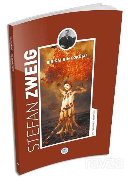 Bir Kalbin Çöküşü - Maviçatı Yayınları