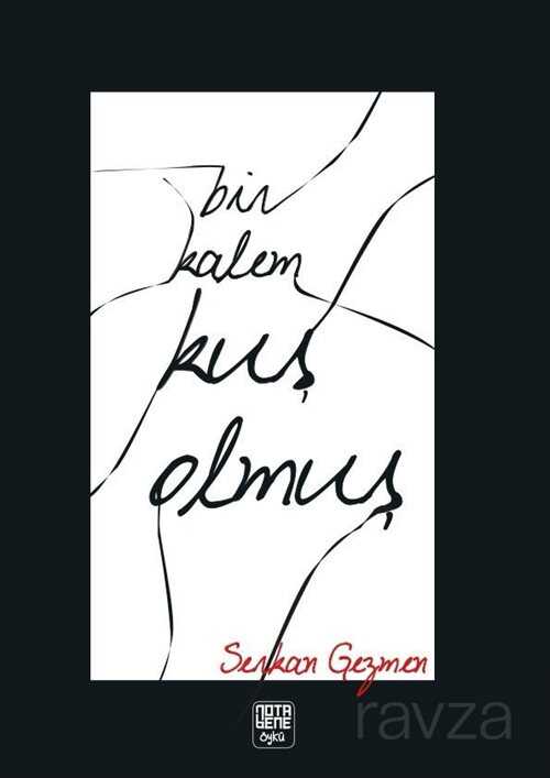 Bir Kalem Kuş Olmuş - Notabene Yayınları