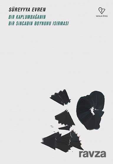 Bir Kaplumbağanın Bir Sincabın Boynunu Isırması - Varlık Yayınları