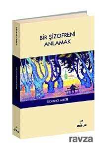 Bir Şizofreni Anlamak - Doruk Yayınları