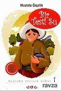 Bir Testi Su - Nar Yayınları