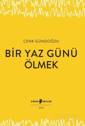 Bir Yaz Günü Ölmek - Edebi Şeyler