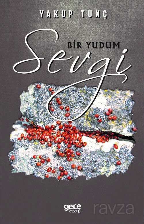 Bir Yudum Sevgi - Gece Kitaplığı