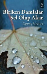 Biriken Damlalar Sel Olup Akar - Mat Kitap
