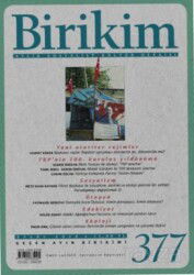 Birikim Aylık Sosyalist Kültür Dergisi Sayı:377 2020 - Birikim Yayınları (Dergi)
