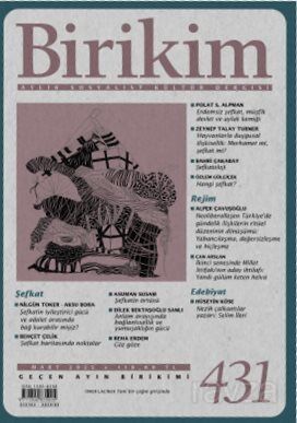 Birikim Dergisi Sayı:431 Mart 2025 - 1