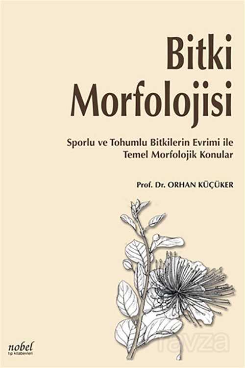 Bitki Morfolojisi: Sporlu ve Tohumlu Bitkilerin Evrimi ile Temel Morfolojik Konular - 1