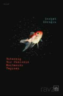 Bitmemiş Bir Cümlenin Noktasını Taşımak - İthaki Yayınları