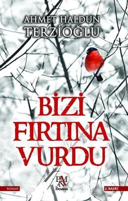 Bizi Fırtına Vurdu - 1