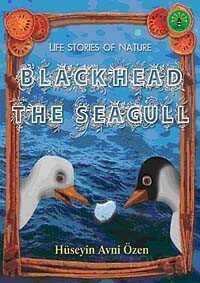 Black Head the Seagull - 1