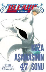 Bleach 47. Cilt / Koza Aşamasının Sonu - Gerekli Şeyler