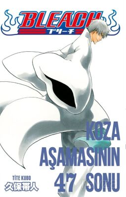 Bleach 47. Cilt / Koza Aşamasının Sonu - Gerekli Şeyler