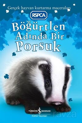 Böğürtlen Adında Bir Porsuk - 1