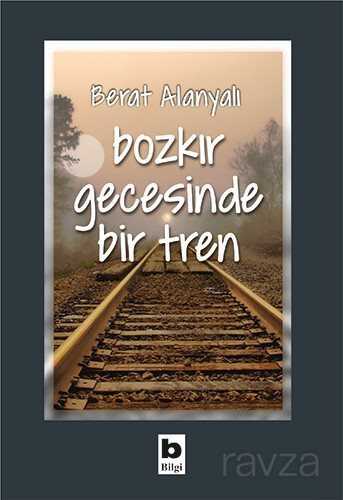 Bozkır Gecesinde Bir Tren - Bilgi Yayınevi