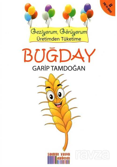 Buğday - Somut Yayınları