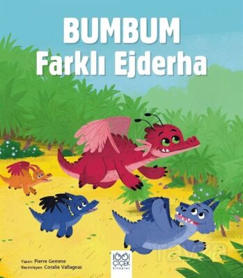 Bumbum Farklı Ejderha - 1