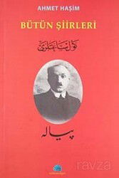 Bütün Şiirleri / Ahmet Haşim - Salkımsöğüt Yayınları