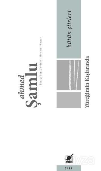 Bütün Şiirleri - Yüreğimin Kışlarında - Ayrıntı Yayınları