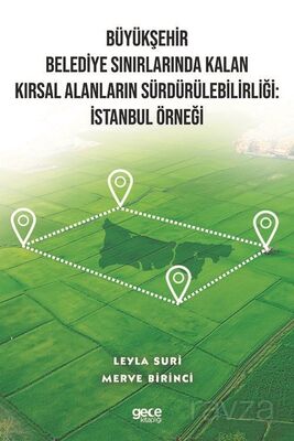 Büyükşehir Belediye Sınırlarında Kalan Kırsal Alanların Sürdürülebilirliği: İstanbul Örneği - 1