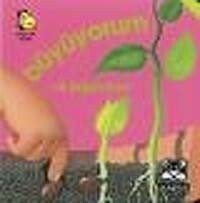 Büyüyorum ve Değişiyorum - Marsık Kitap