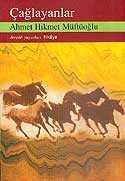 Çağlayanlar - Dergah Yayınları