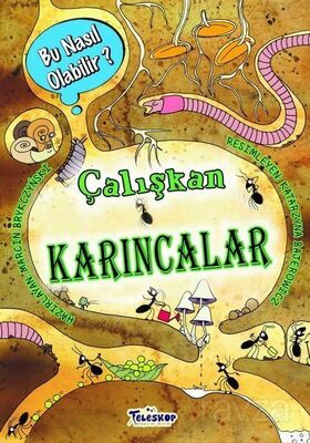 Çalışkan Karıncalar Bu Nasıl Olabilir? - 1