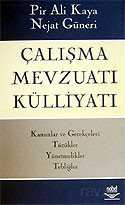 Çalışma Mevzuatı Külliyatı - 1