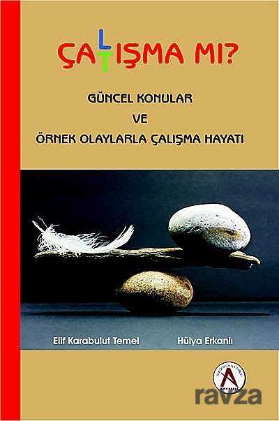 Çalışma mı Çatışma mı? - Akademisyen Kitabevi