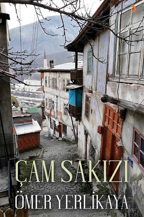 Çam Sakızı - 1