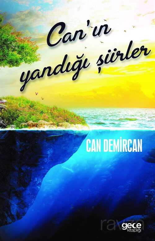 Canın Yandığı Şiirler - Gece Kitaplığı