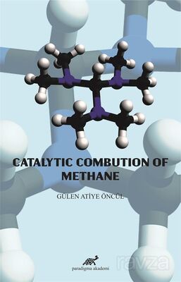 Catalytic Combution Of Methane - 1