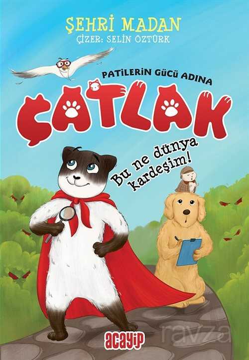 Çatlak / Bu Ne Dünya Kardeşim - Acayip Kitaplar