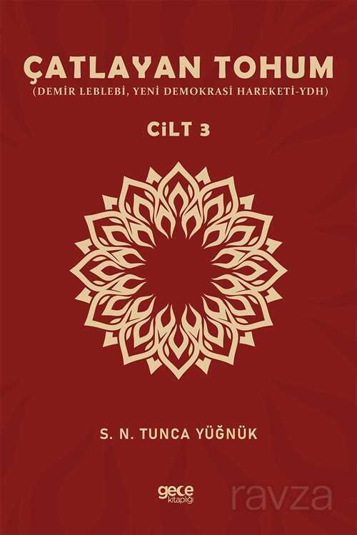 Çatlayan Tohum Cilt 3 - Gece Kitaplığı