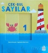 Çek-Bul Sayılar / Hareketli Kitaplar - Poti Kare Yayıncılık
