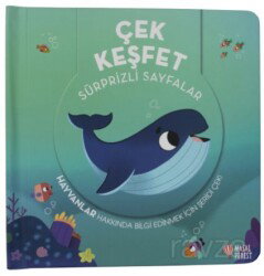 Çek Keşfet - Hayvanlar Sürprizli Sayfalar - Masalperest