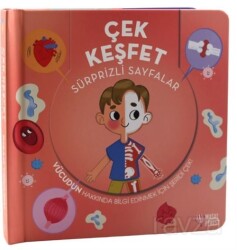 Çek Keşfet İnsan Vücudu - Masalperest