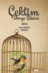 Çektim Dünya Çilesini - Berikan Yayınevi