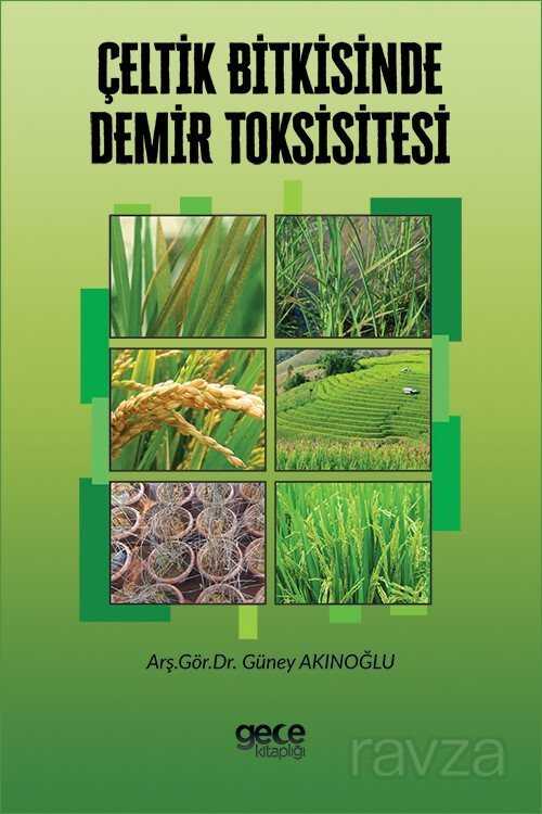 Çeltik Bitkisinde Demir Toksisitesi - Gece Kitaplığı