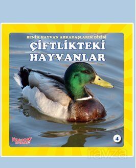 Çiftlik Hayvanları - 1